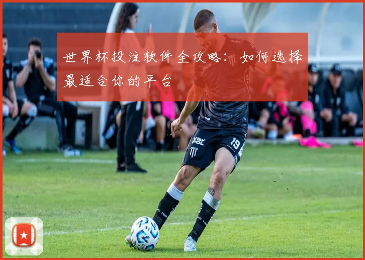 世界杯投注软件全攻略：如何选择最适合你的平台