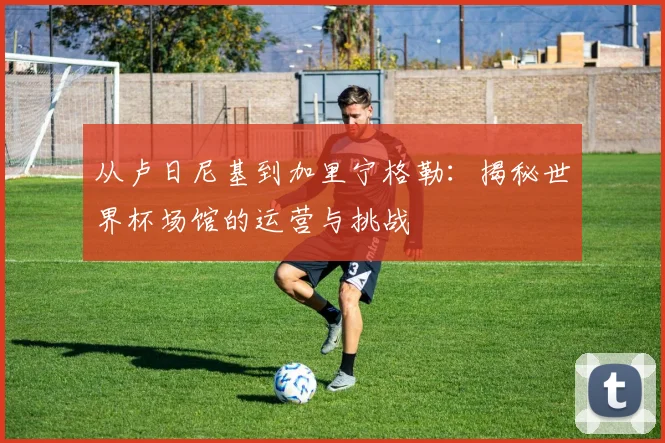 从卢日尼基到加里宁格勒：揭秘世界杯场馆的运营与挑战