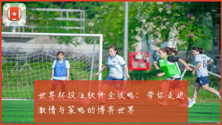世界杯投注软件全攻略：带你走进激情与策略的博弈世界