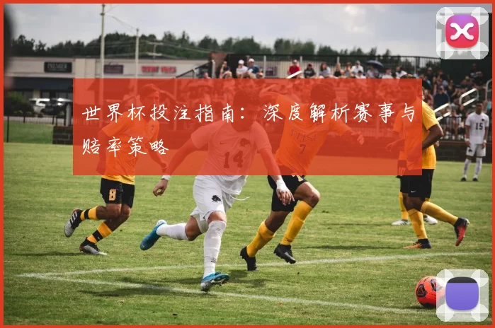 世界杯投注指南：深度解析赛事与赔率策略