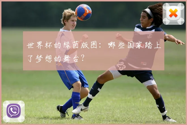 世界杯的绿茵版图：哪些国家踏上了梦想的舞台？