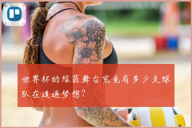 世界杯的绿茵舞台究竟有多少支球队在追逐梦想？