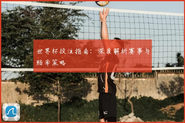 世界杯投注指南:深度解析赛事与赔率策略