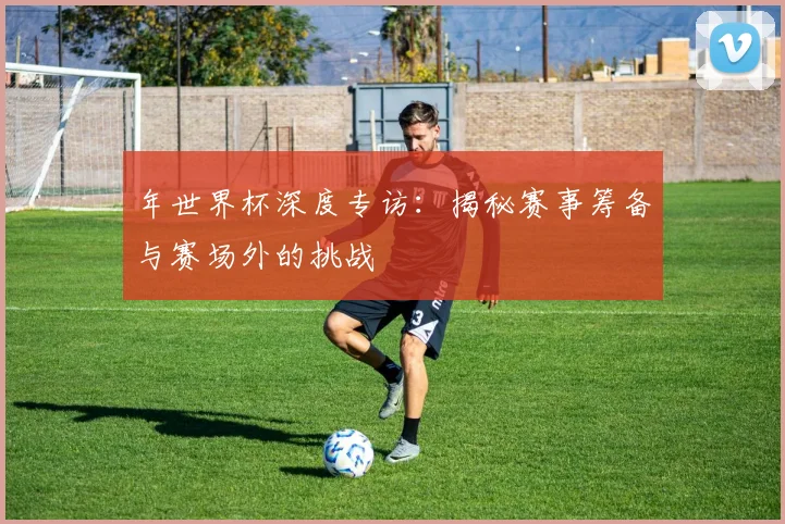 年世界杯深度专访：揭秘赛事筹备与赛场外的挑战
