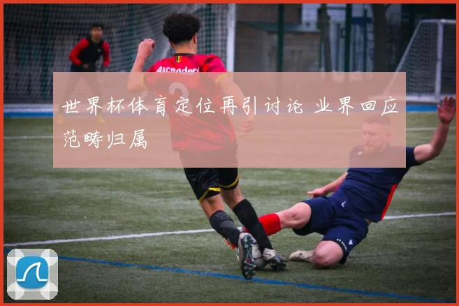 世界杯体育定位再引讨论 业界回应范畴归属