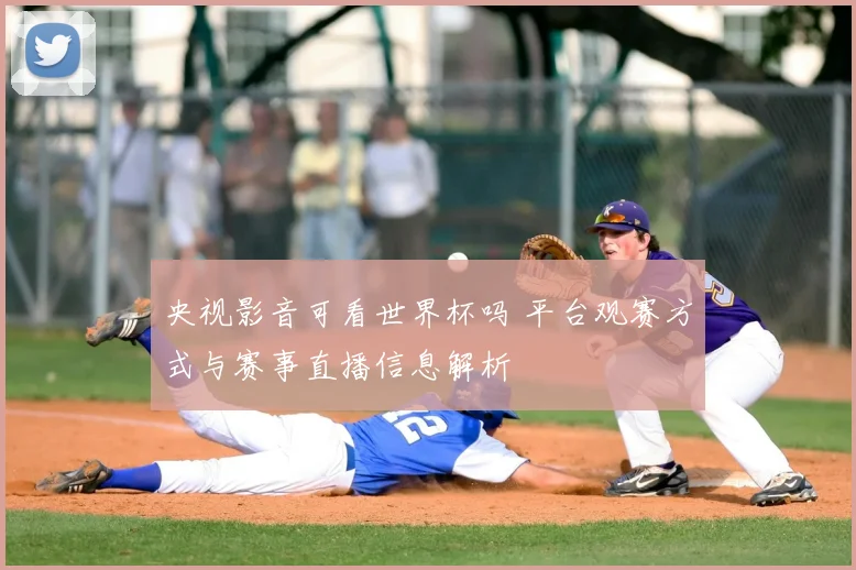 央视影音可看世界杯吗 平台观赛方式与赛事直播信息解析