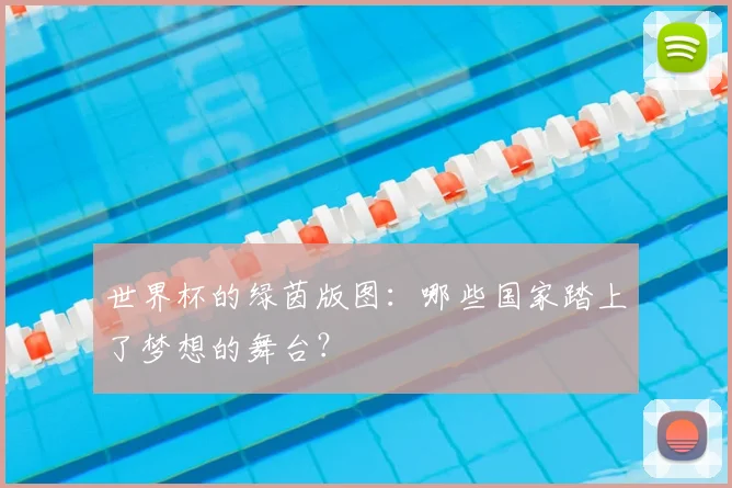 世界杯的绿茵版图：哪些国家踏上了梦想的舞台？