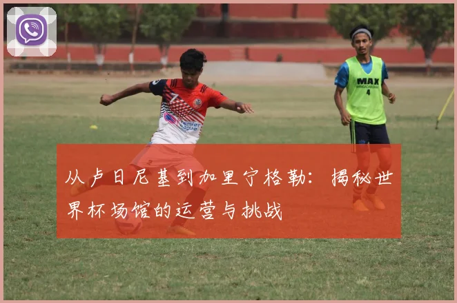 从卢日尼基到加里宁格勒：揭秘世界杯场馆的运营与挑战