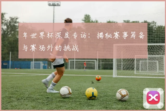 年世界杯深度专访：揭秘赛事筹备与赛场外的挑战