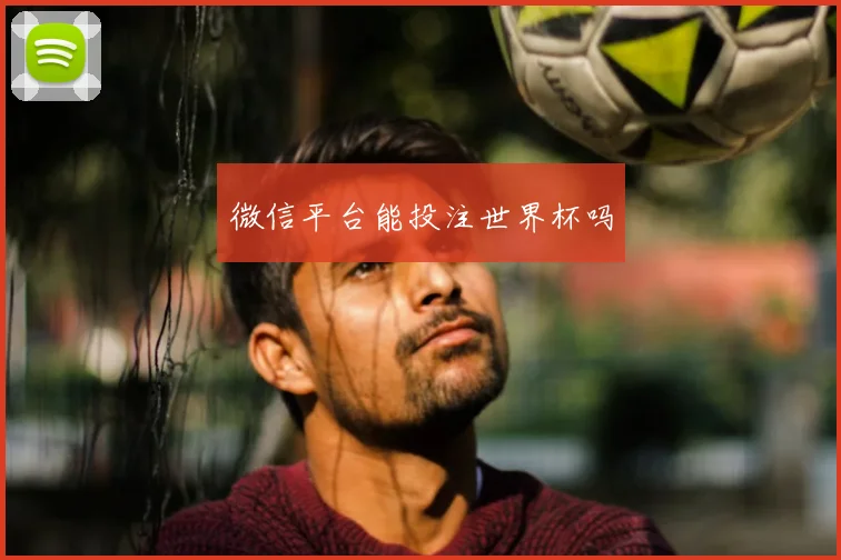 微信平台能投注世界杯吗