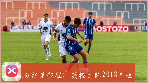 从分组看征程：英格兰队2018年世界杯的机遇与风险