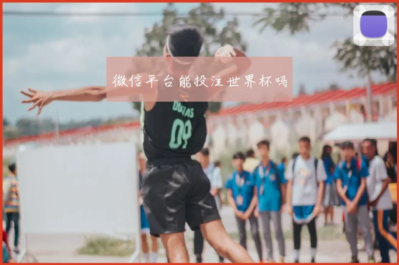 微信平台能投注世界杯吗