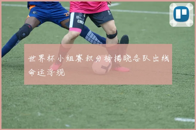 世界杯小组赛积分榜揭晓各队出线命运浮现