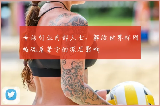 专访行业内部人士，解读世界杯网络观看禁令的深层影响