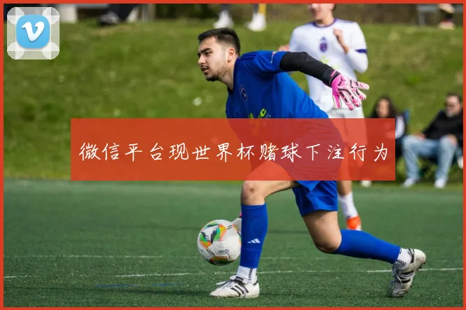 微信平台现世界杯赌球下注行为